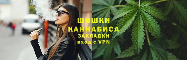 молекула духа Богородицк
