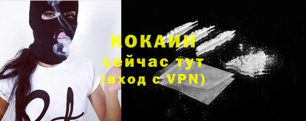 ПСИЛОЦИБИНОВЫЕ ГРИБЫ Верхний Тагил