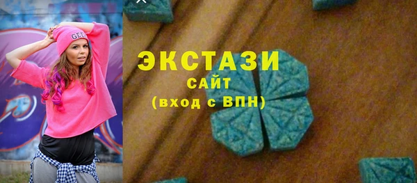 молекула духа Богородицк