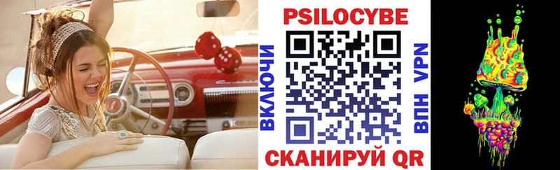 Псилоцибиновые грибы Cubensis что такое Кстово